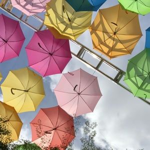 Meet your Posher, Maya